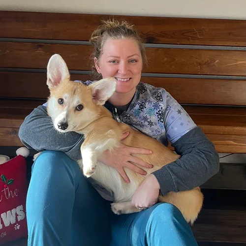 A veterinary assistant smiling while holding a tan and white dog with large ears on her lap.