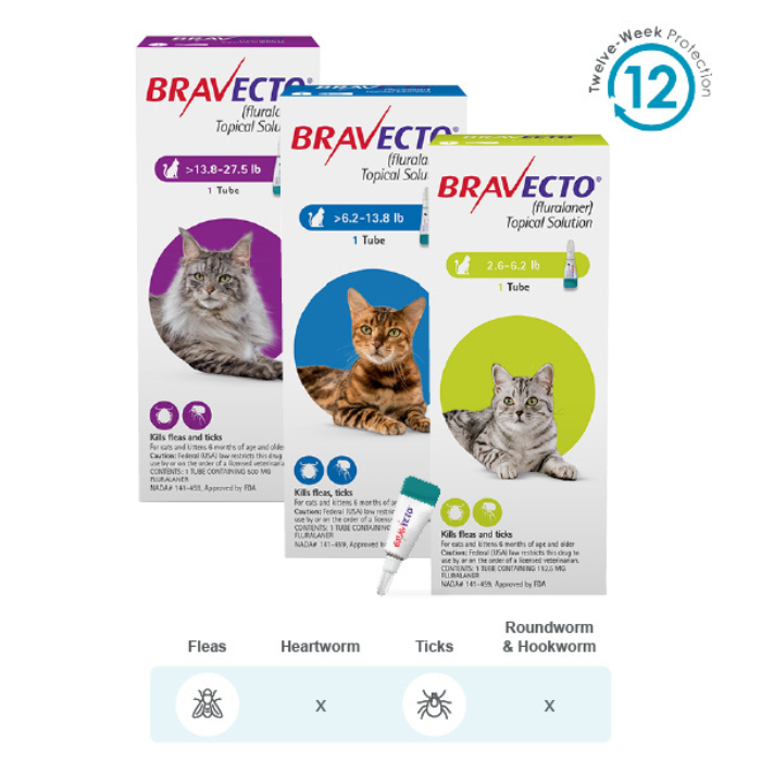 bravecto